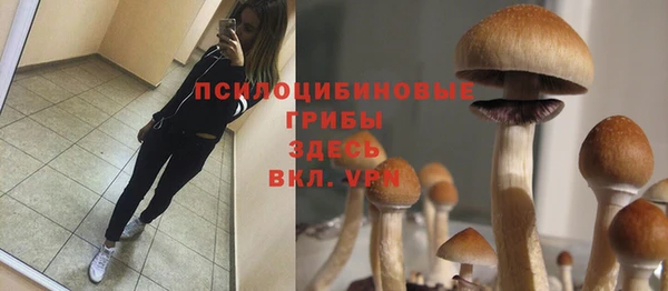гашиш Абаза