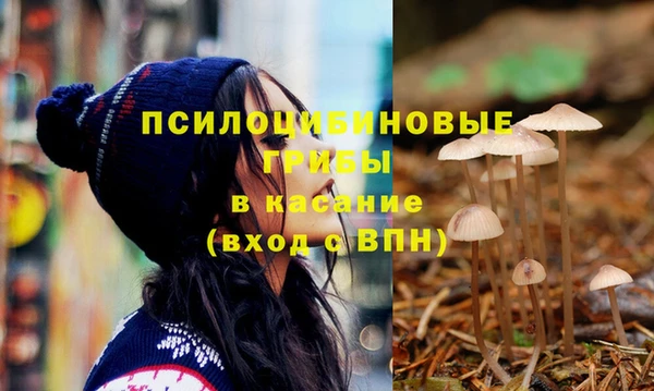 гашиш Абаза