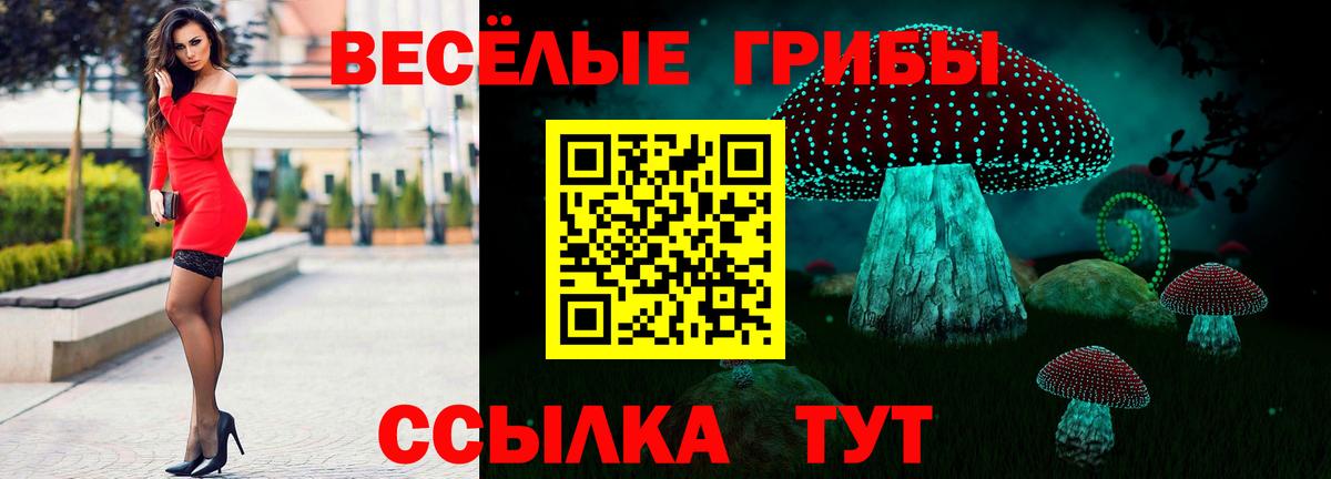 Псилоцибиновые грибы ЛСД Курск
